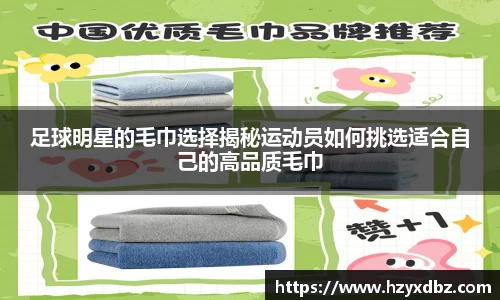 足球明星的毛巾选择揭秘运动员如何挑选适合自己的高品质毛巾